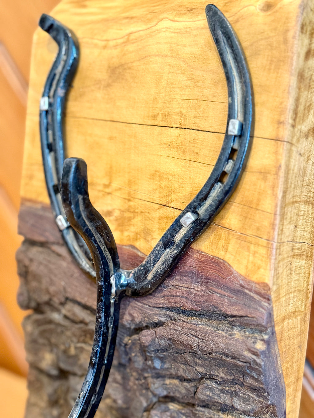 Coat Hook